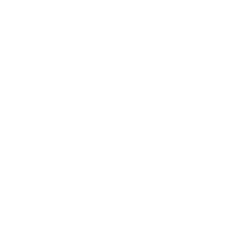 our-partner